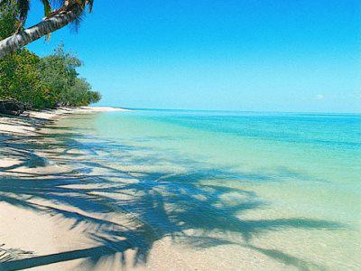Bedarra Island Otel Great Barrier Reef Dış mekan fotoğraf